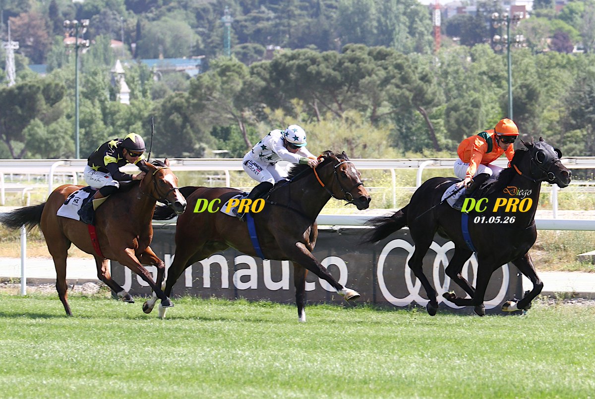 DC PRO 🐎 tweet media