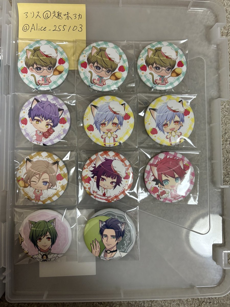 アリス@趣味アカ DM不調 tweet media