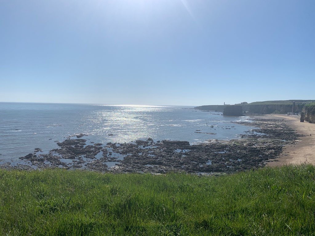 Dave_Dixon1's tweet image. Nip and a punch it’s the 1st of the month my #justone was found less than 5 yds into my daily pick 😩@TJRPitt 
#masdenbay is looking especially stunning with lots of wildflowers &amp;amp; influx of seabirds also one of my favourite visitors the sand martens 
#lovewhereyoulive
