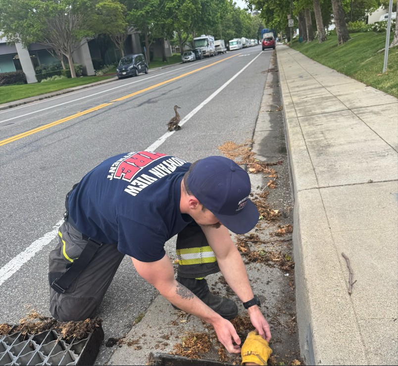 Mountain View Fire tweet media