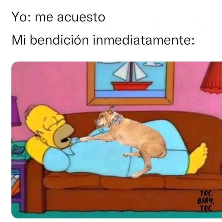 Max 🇦🇷 tweet media