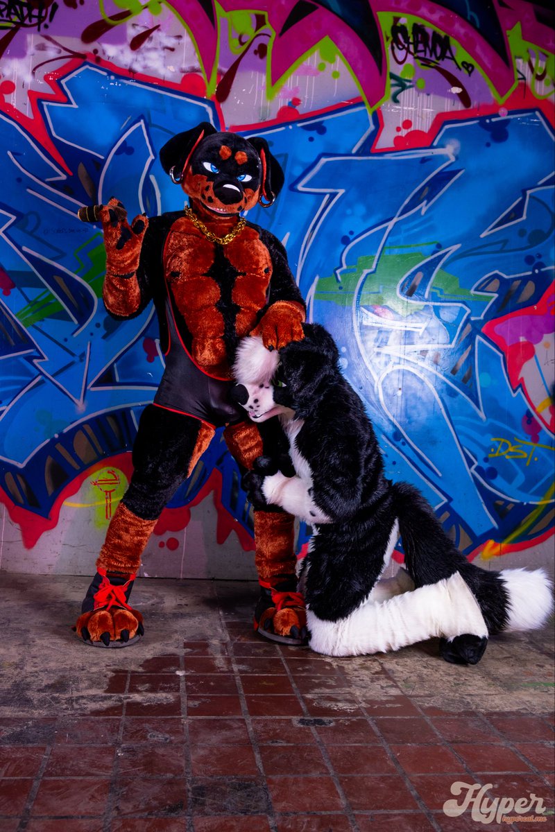 Duke_Doberman's tweet photo. Good puppy ⛓️
#fursuitfriday

📸 https://t.co/Y33R2l5qvC https://t.co/p5JAhSHLaF