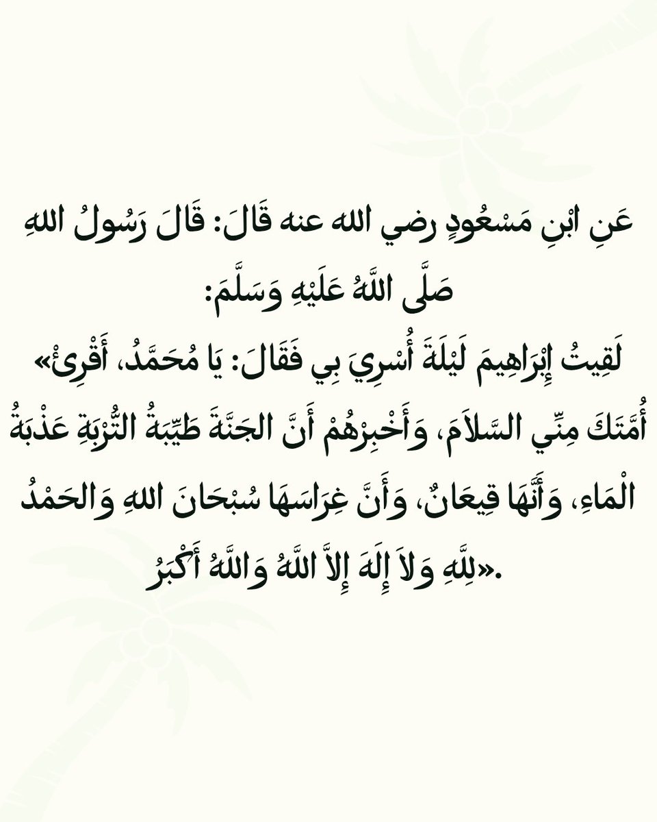 ساندي𓂆 tweet media