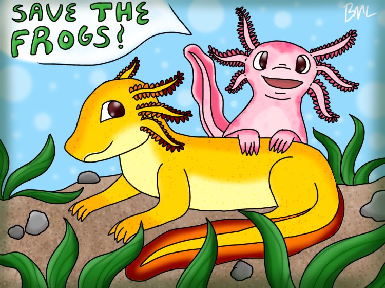 BML1997's tweet photo. Made this for a recent #Ovipets art challenge with a focus on amphibian awareness 

Also check out a similar contest ran by Save The Frogs!
(https://t.co/lScHXAD5Y9). Its contest runs til November. https://t.co/s6CrgeCS6O