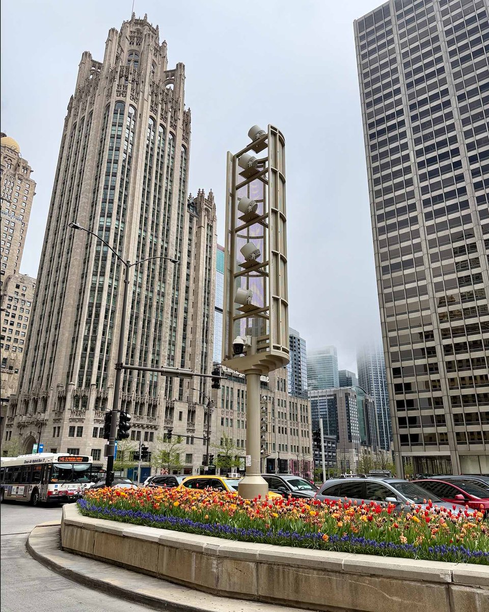 wiredprworks's tweet image. “May is the month of expectation, the month of wishes, the month of hope." Emily Brontë
May your May be magnificent!
Celebrating by sending you tulips as seen in Chicago and @MortonArboretum  last week  #thoughtleadership #naturephotography #chicago #FridayFlower #BarbaraRozgonyi