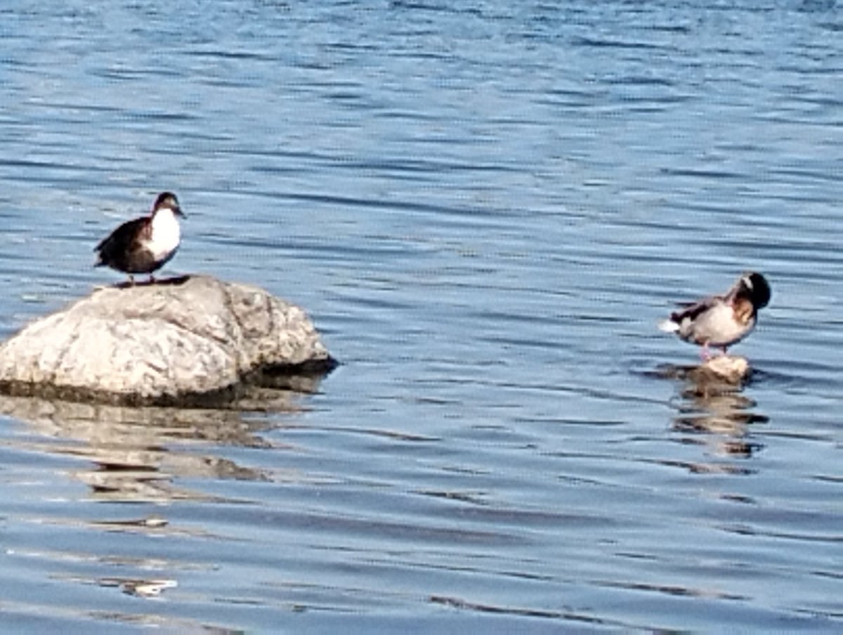 AnninaStyle's tweet image. Relax #lago #sole #casa #lagodipusiano #camminata