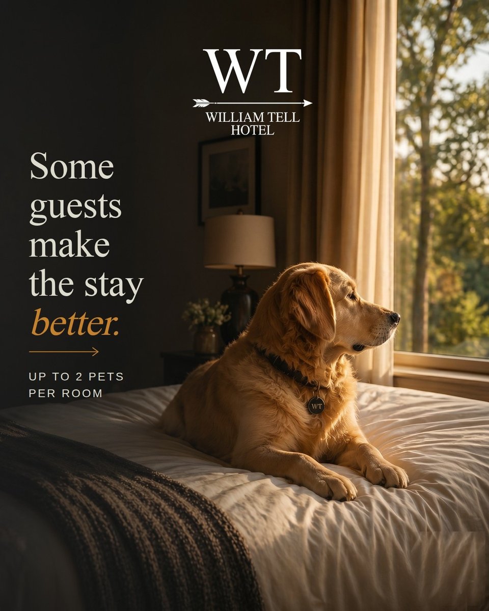 WtHotel's tweet photo. They ride shotgun, steal the bed, and somehow make every trip better.

William Tell Hotel welcomes your four-legged travel partners. Up to two pets per room. Because the best road trips aren't solo.

Right on Route 66. 

Book Now  - https://t.co/vJPPSU61ek https://t.co/Fye4foKxhu