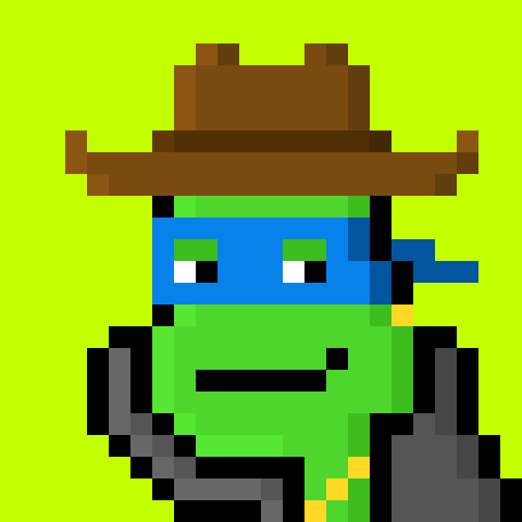 QuantumPhunks 🐢 tweet media