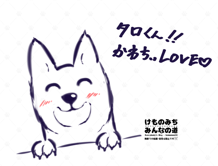 タロくんだいしゅきくろれんにゅう🐶「タロくんだいしゅき💖」 