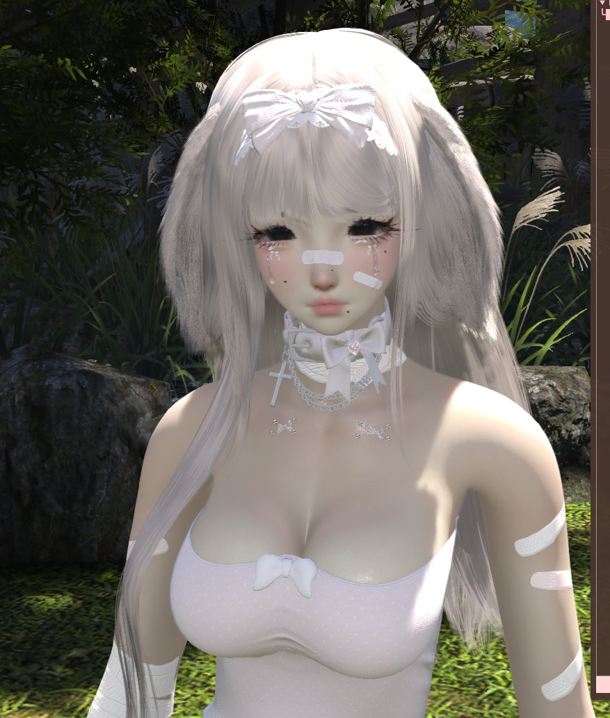 ♡₍ᐢ. .ᐢ₎ tweet media