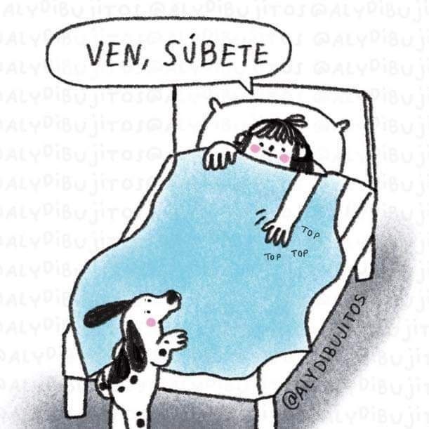 Max 🇦🇷 tweet media