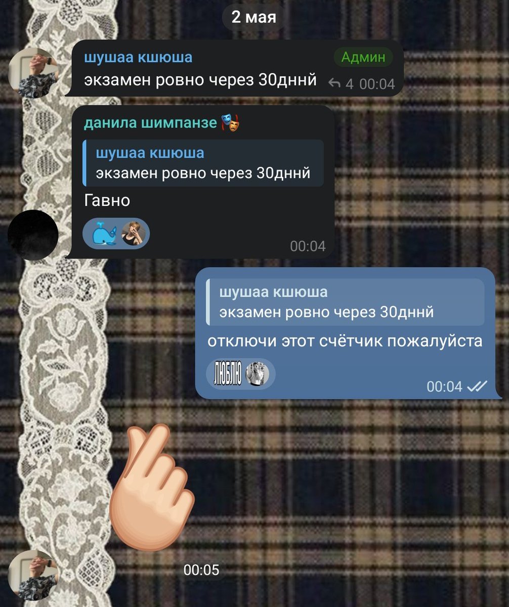 август tweet media