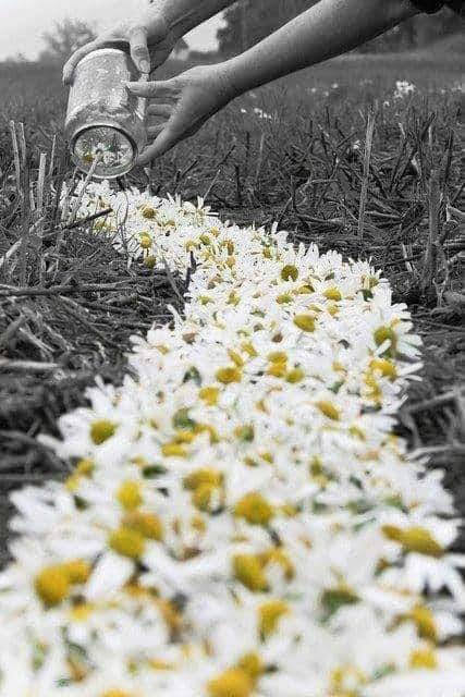 nefridio☀️🌊✌🌱🕊❤⚘️💫 tweet media