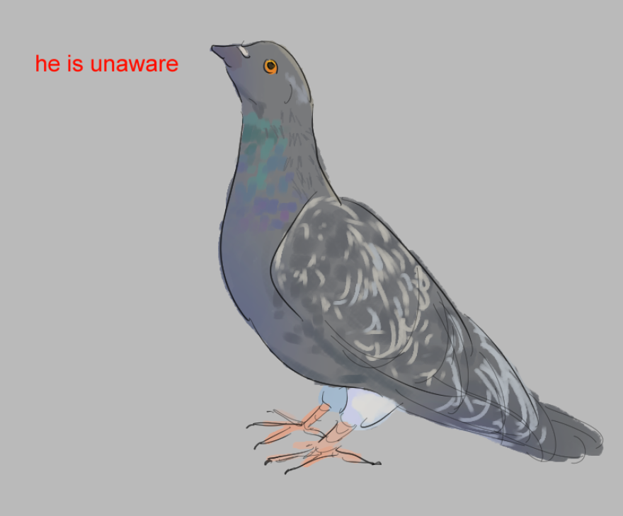 softwaresoft_'s tweet photo. pigeon fanart https://t.co/0SRaWQq1XB