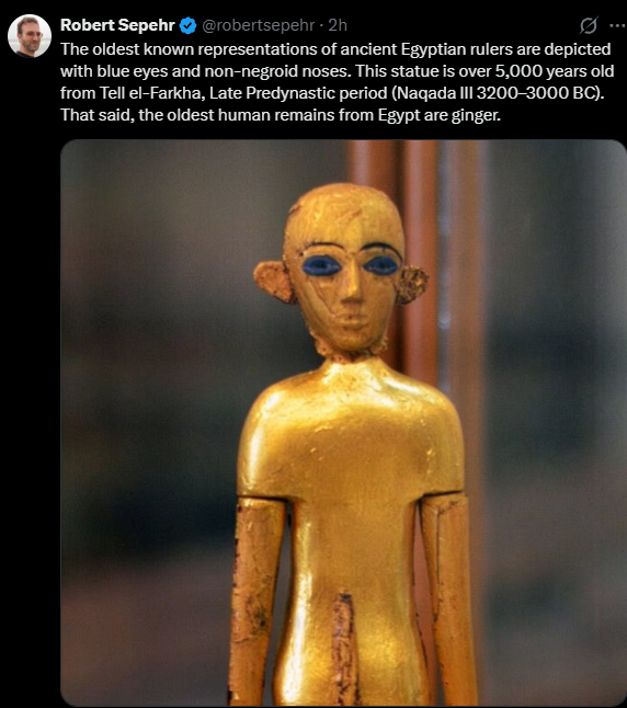 Archaix tweet media