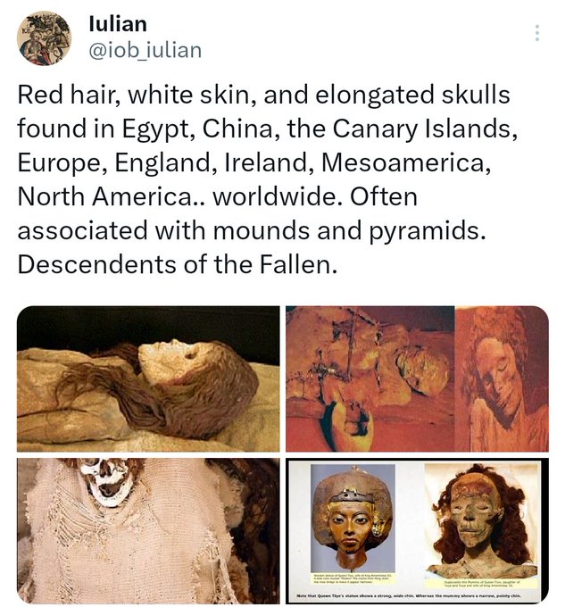 Archaix tweet media
