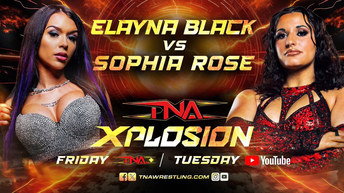 Sophia tweet media
