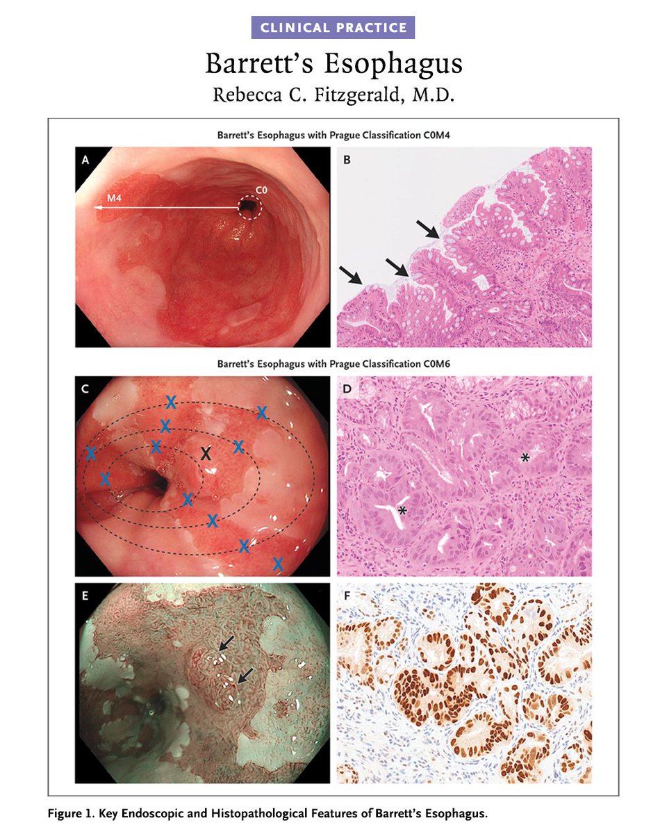 NEJM tweet media
