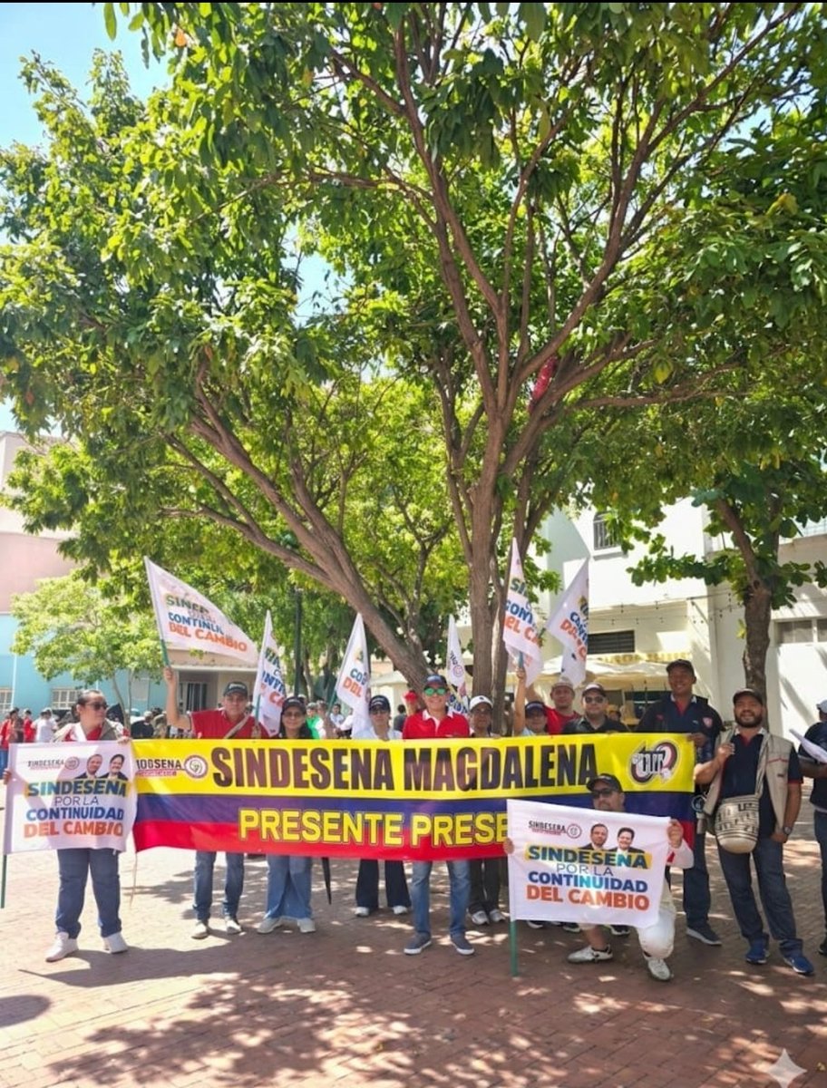 SINDESENA MAGDALENA tweet media