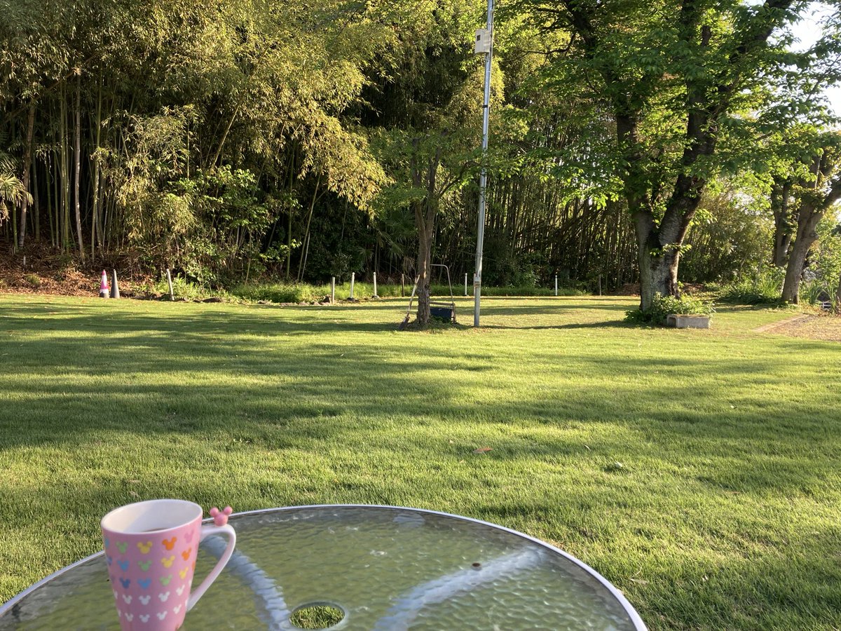 今日はさわやかな朝☀️
この時間は涼しい
おはようございます😃

毎年GW頃になると芝生が緑になる👏