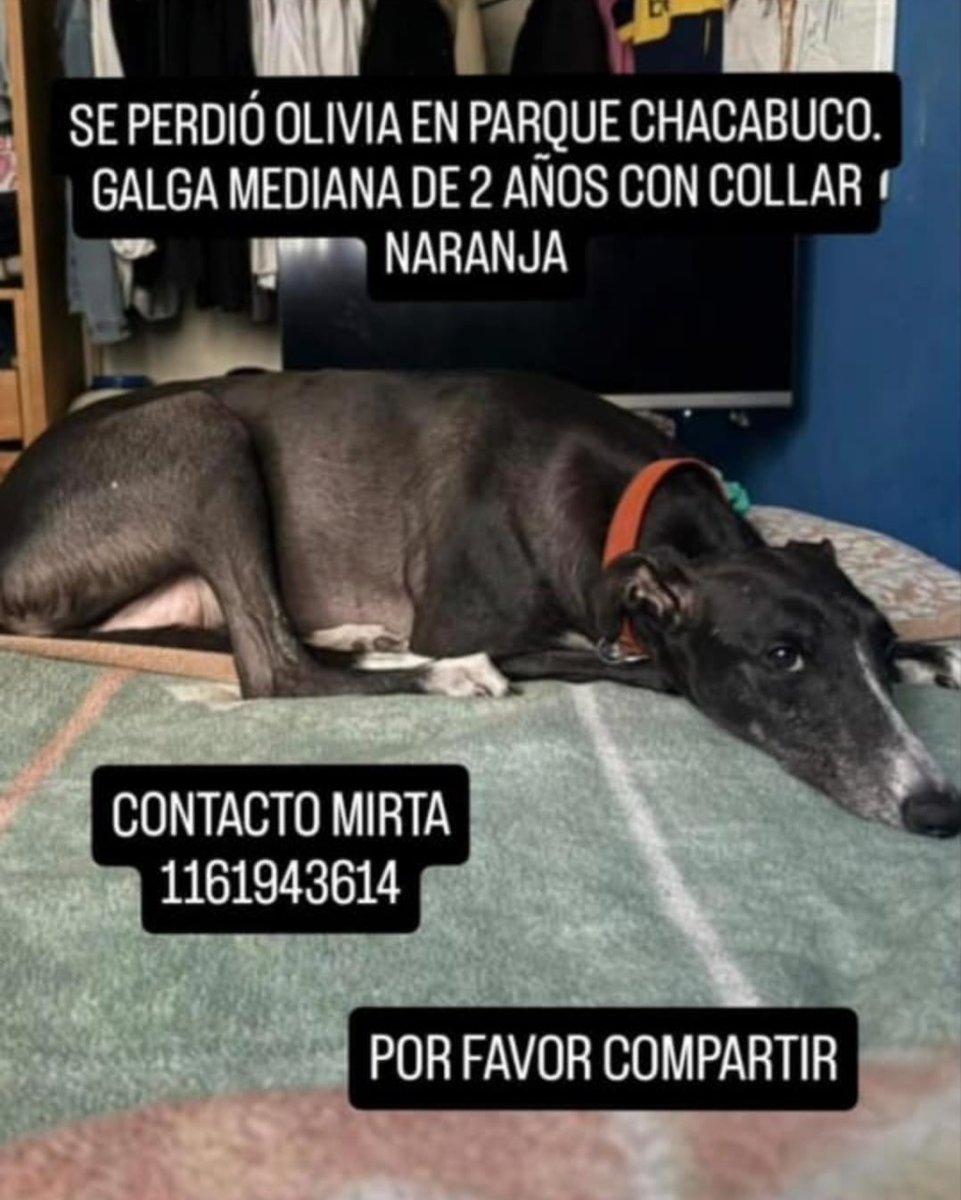 Rt
Recompensa