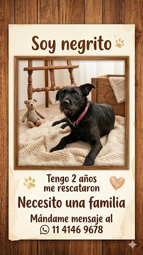 Patri tweet media