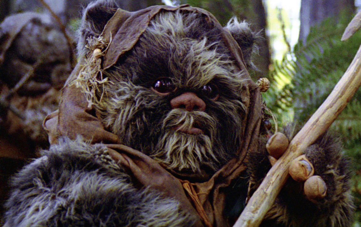 WorldsNotOurs's tweet photo. Star Wars
Episode VI: Return of the Jedi
Scene 24. An Ewok Trap
1:10:00
Graak
Species: Ewok
Affliation: Bright Tree Village/Alliance to Restore the Republic/Hunting Party
Location: Outer Rim Territories, Inner Zuma, Outer Moddell, Endor system, Endor, forrest, ewok trap (outside) https://t.co/PlNDGn0RRF