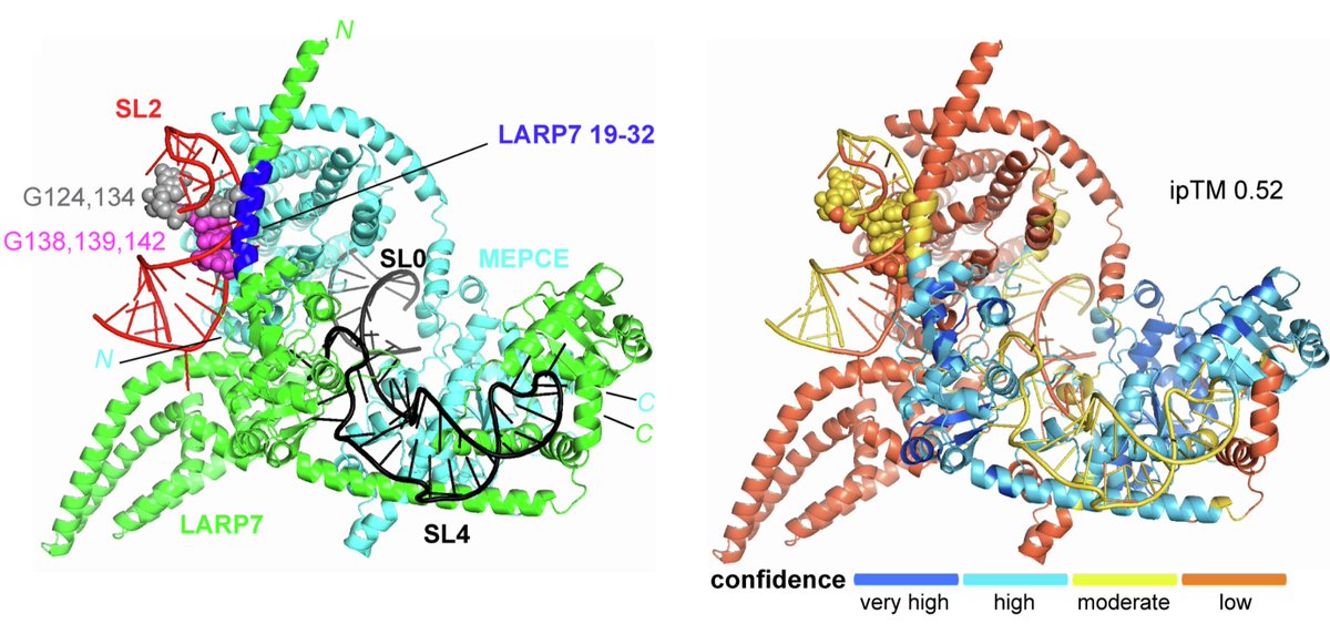 Department of Biochemistry and Molecular Biology tweet media