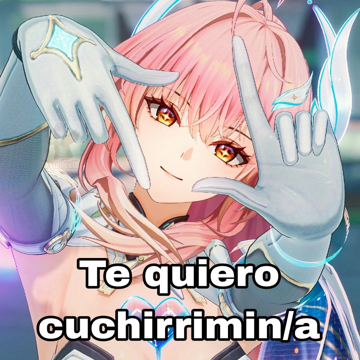 Seiza tweet media