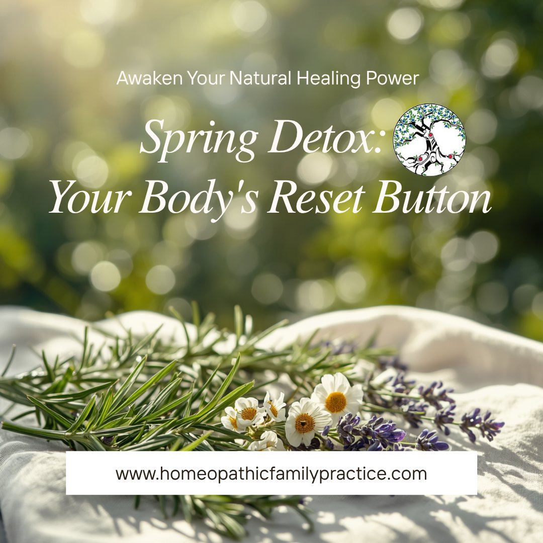 HannahDchm's tweet image. #SpringDetox #HomeopathicMedicine #HolisticHealth #NaturalHealing #HerbalMedicine #PersonalizedMedicine #SpringRenewal  #IntegrativeMedicine #NaturalRemedies #HealthyLiving #SelfCare #MindBodySpirit #HealingJourney #H101 #HFP #TorontoWellness #Homeopathicfamilypractice