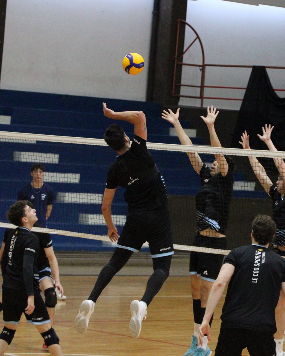 Voleibol Argentino tweet media