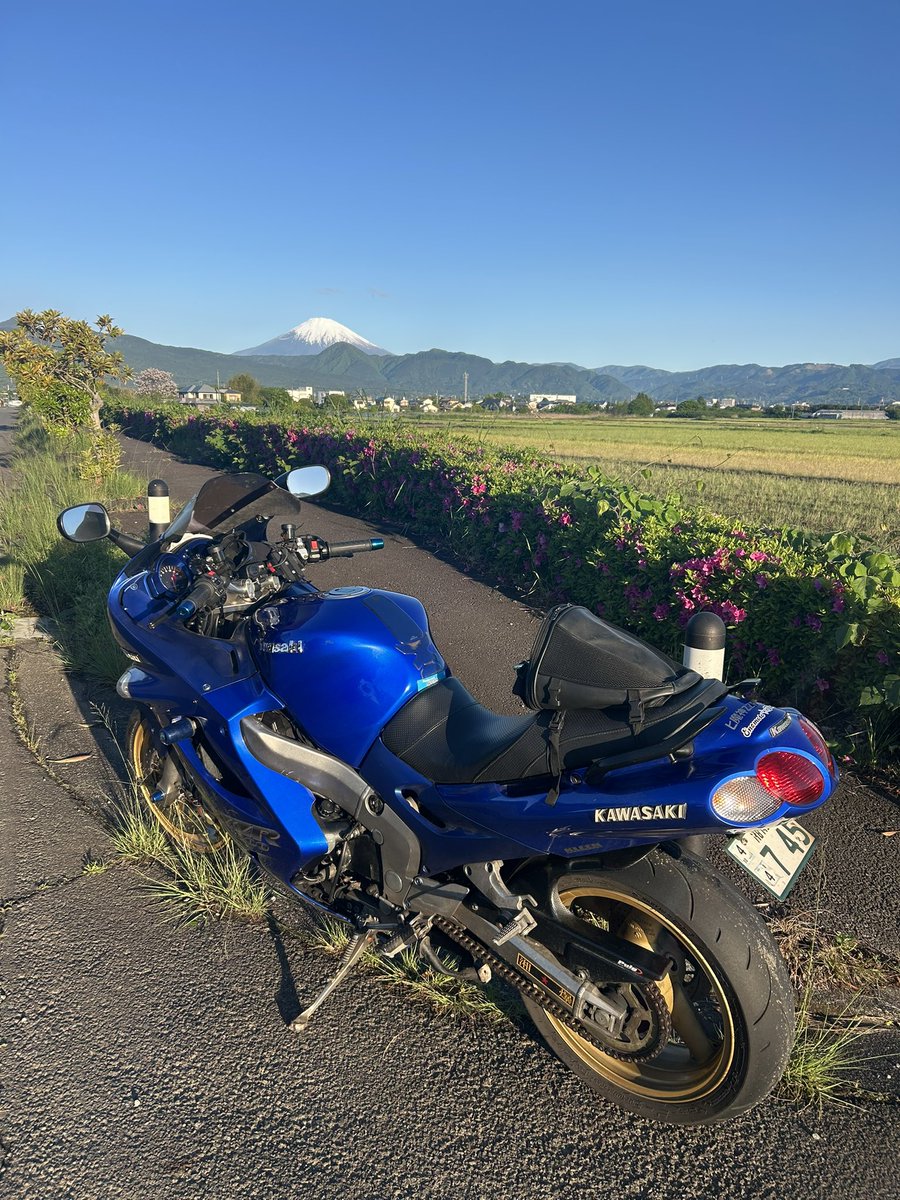 おやびん tweet media