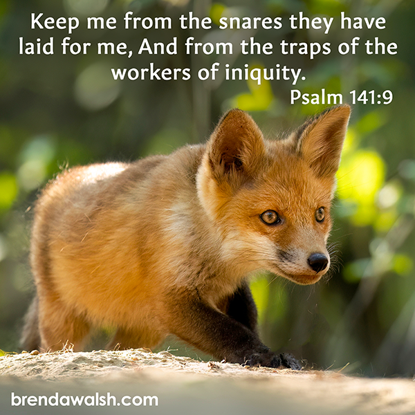 brendakwalsh's tweet image. Today's Daily Scripture Picture: Guardian of My Steps
Psalm 141:9 – “Keep me from the snares they have laid for me, And from the traps of the workers of iniquity.”

#Christian #ChristianLiving #verseoftheday #bibleverse #bible #guardian #footsteps #safe #protection #enemy #Jesus