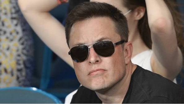 Elonogy tweet media