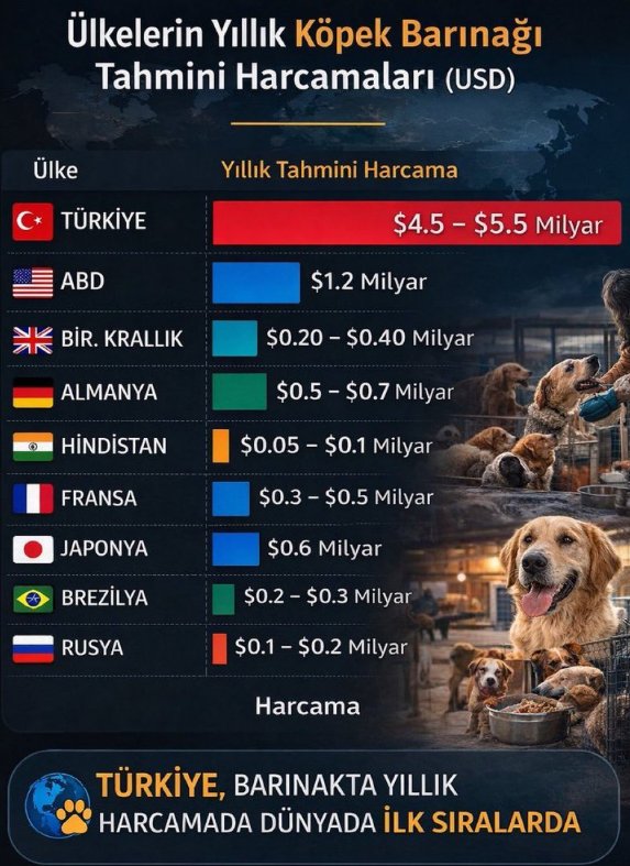zekeriya YILDIZ tweet media