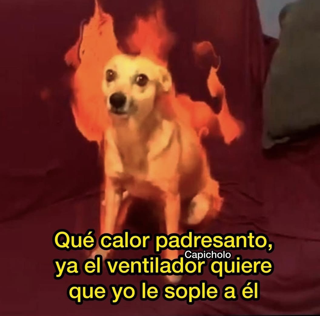 Víctor Esparza tweet media