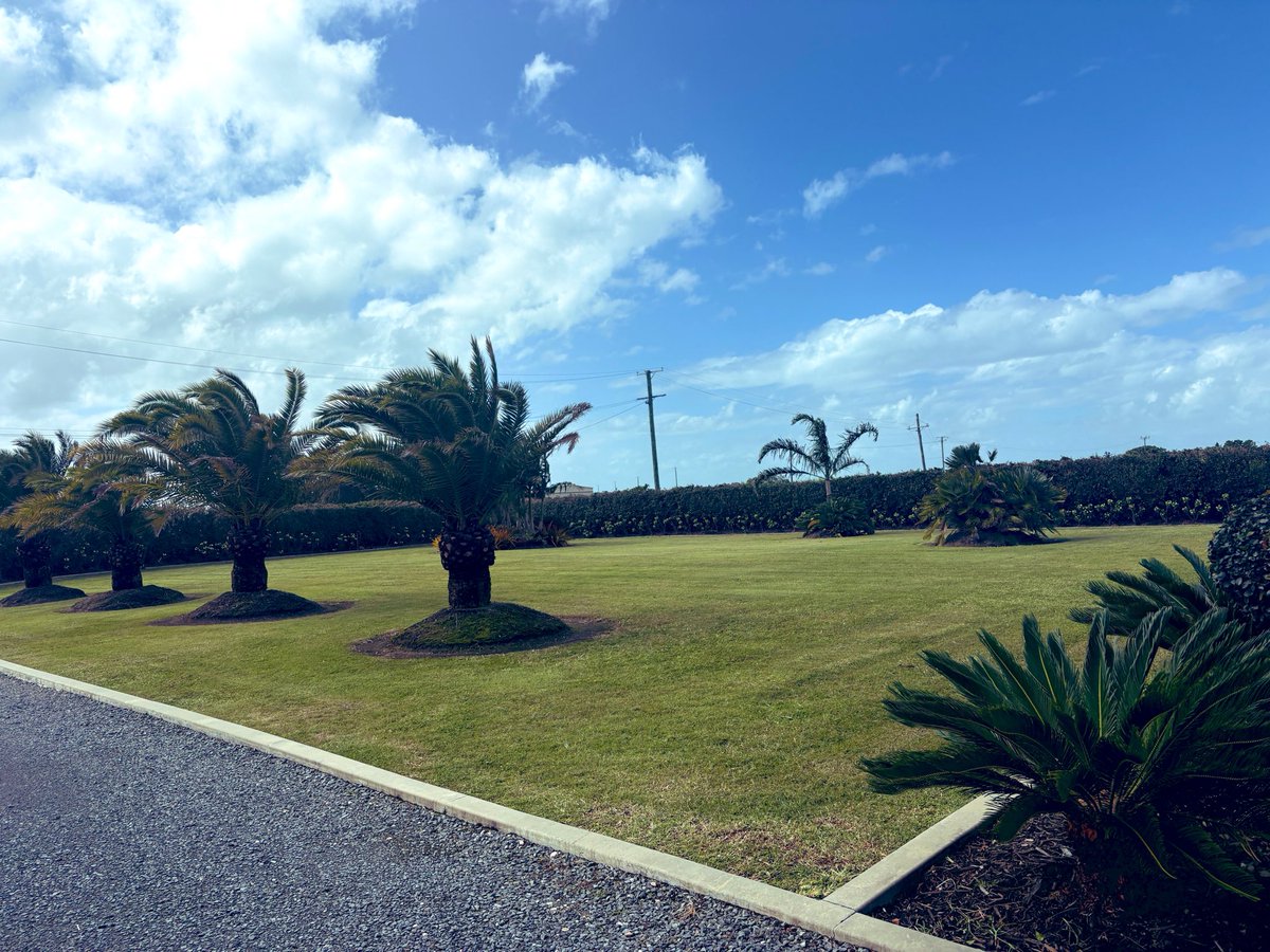 火烈鸟🦩🇦🇺 tweet media