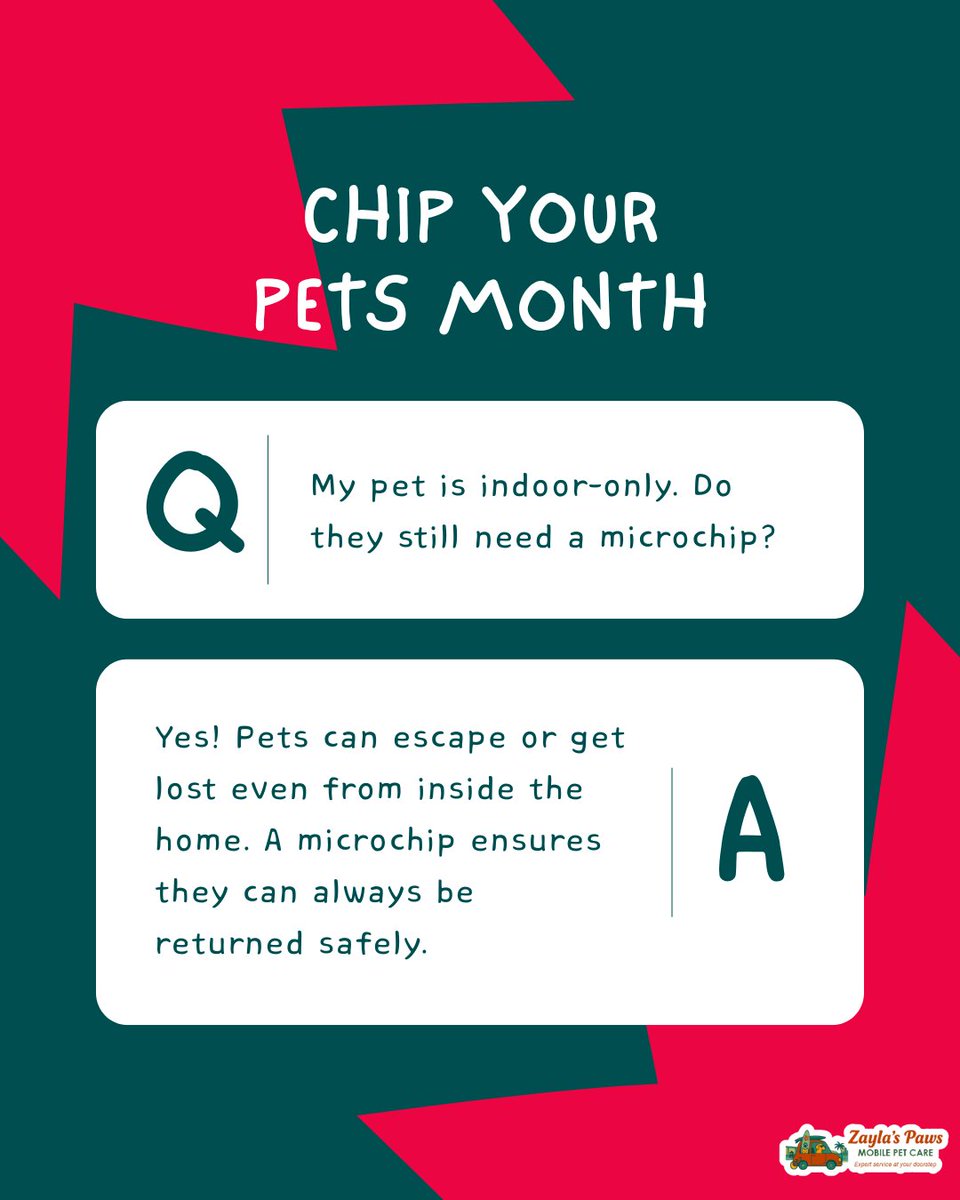 ZaylasPaws's tweet image. Even indoor pets can slip out or wander unexpectedly. A microchip provides permanent identification so your furry friend can always find their way home.

#PetSafety #ChipYourPetsMonth