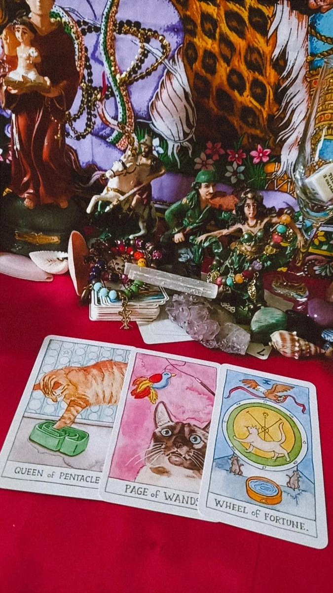 Kali Tarot🔮💞/AGENDA ABERTA tweet media