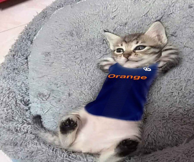.𝖗𝖆𝖜 tweet media