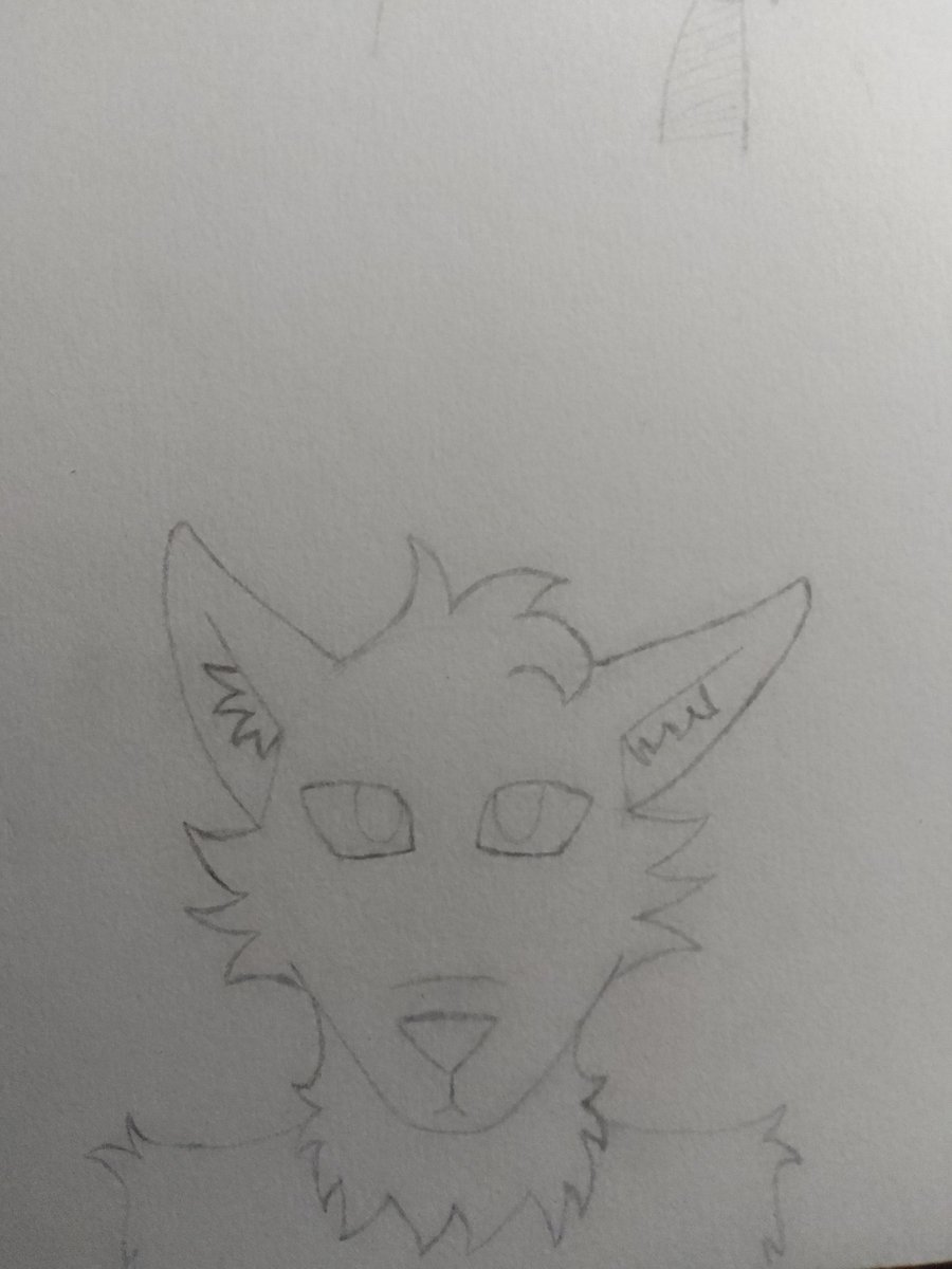 The_shark_puppe's tweet image. Ugly furry sketches ig #lackadaisy #lackadaisycats #fursona #furryart
