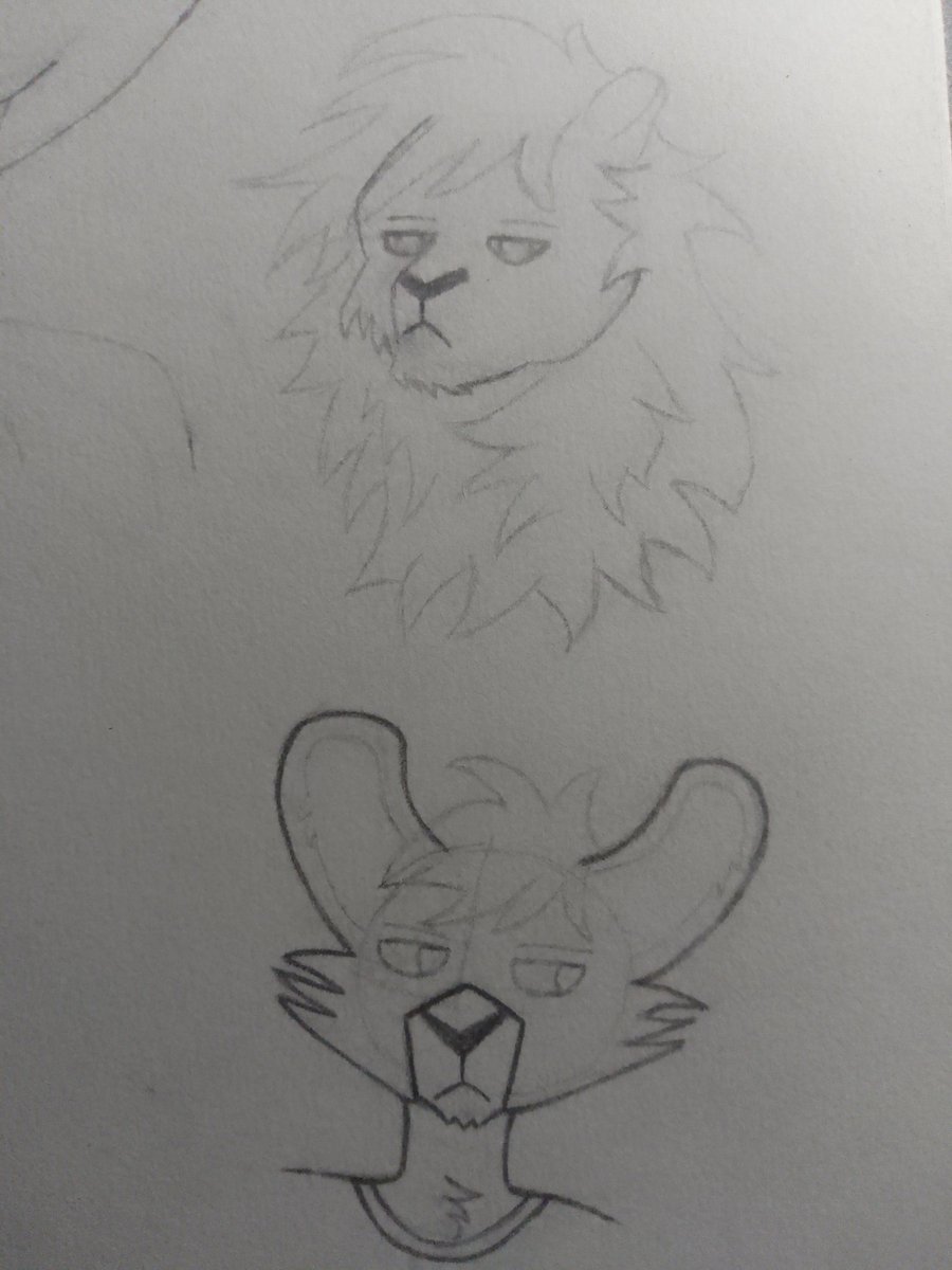 The_shark_puppe's tweet image. Ugly furry sketches ig #lackadaisy #lackadaisycats #fursona #furryart