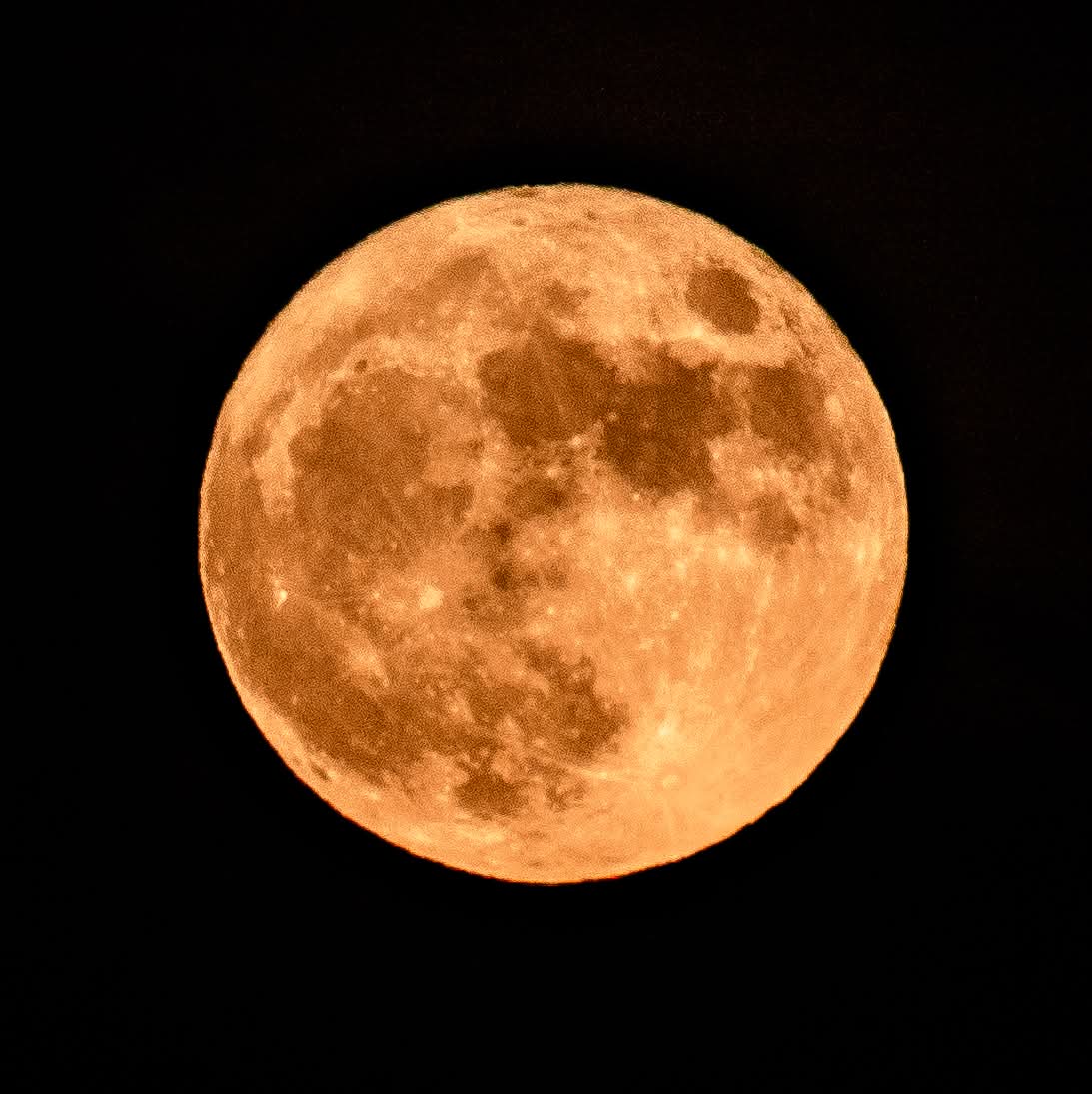 ____GAZ_____'s tweet photo. Tonight's flower moon is stunning 😍 https://t.co/KQUuV33pSA