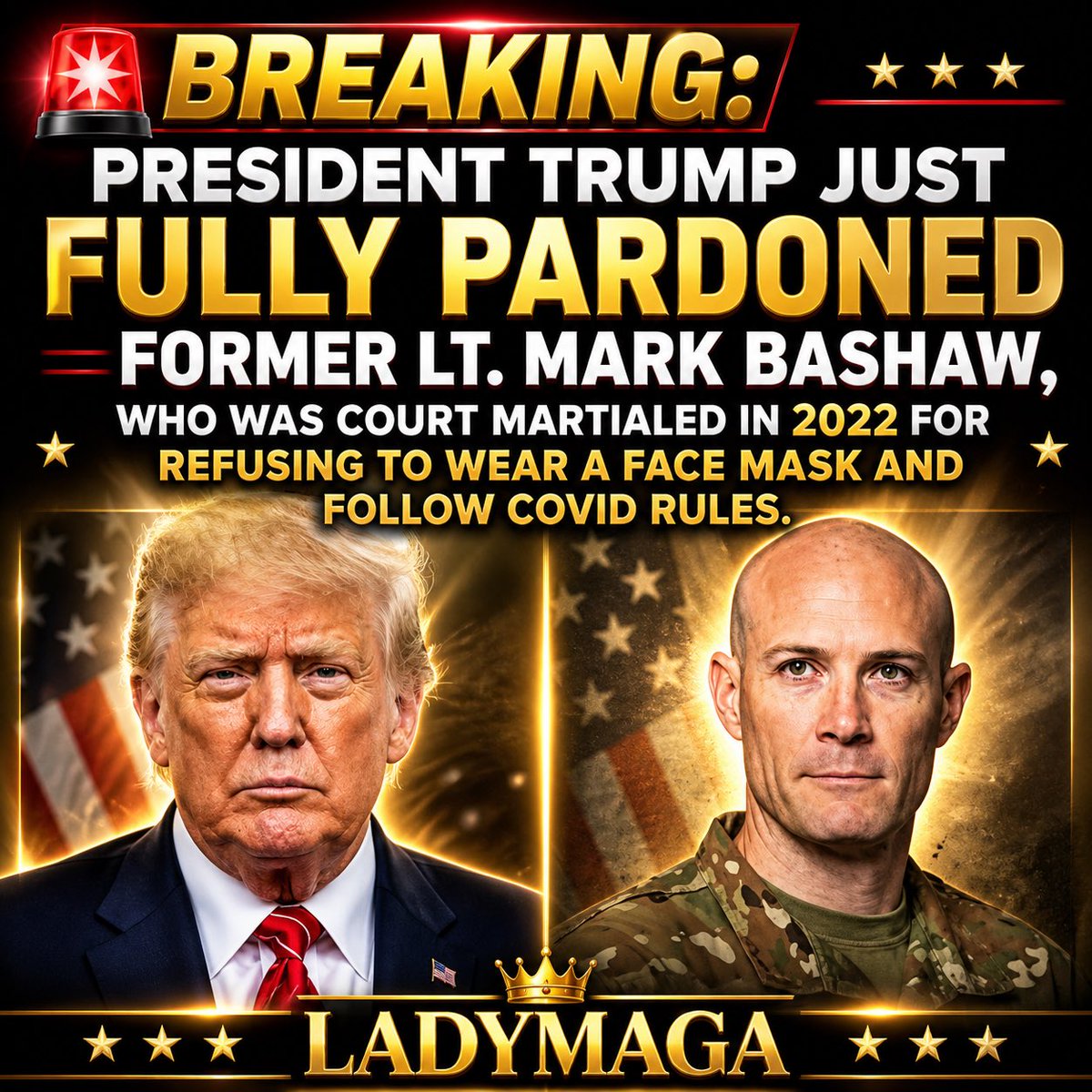 Ladymaga tweet media