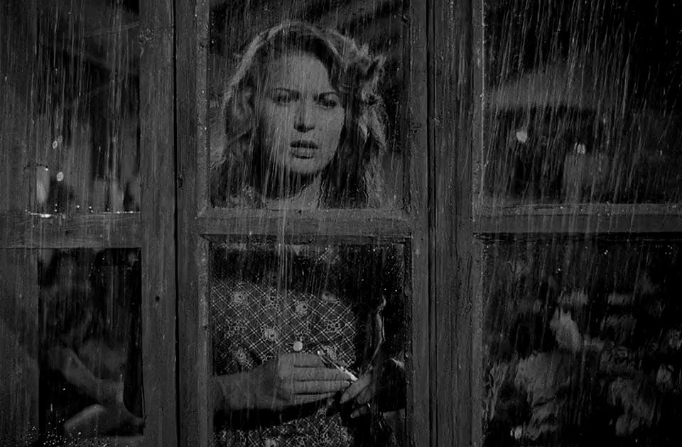 Rainy Movies tweet media