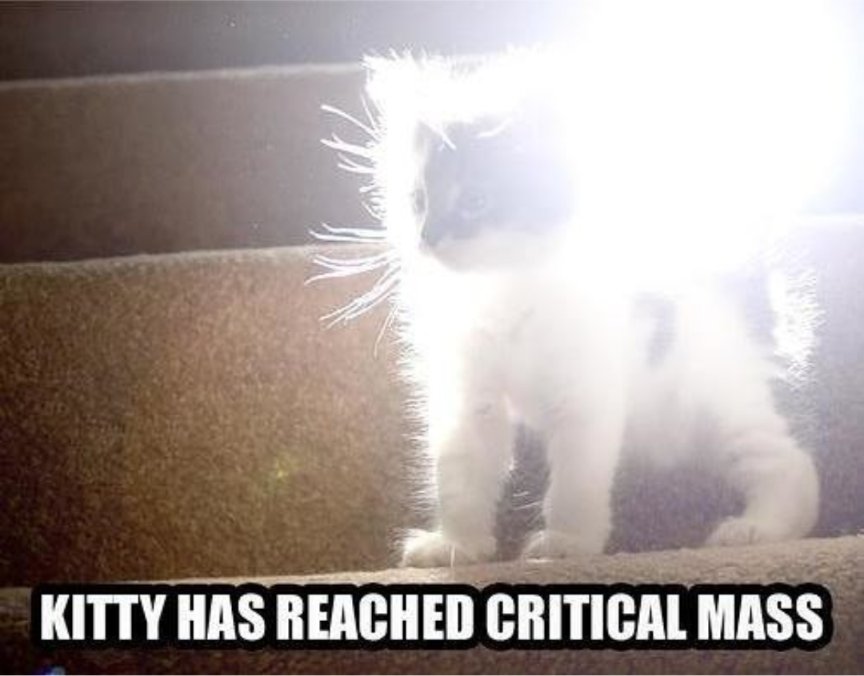 OMG HI KITTY!! tweet media