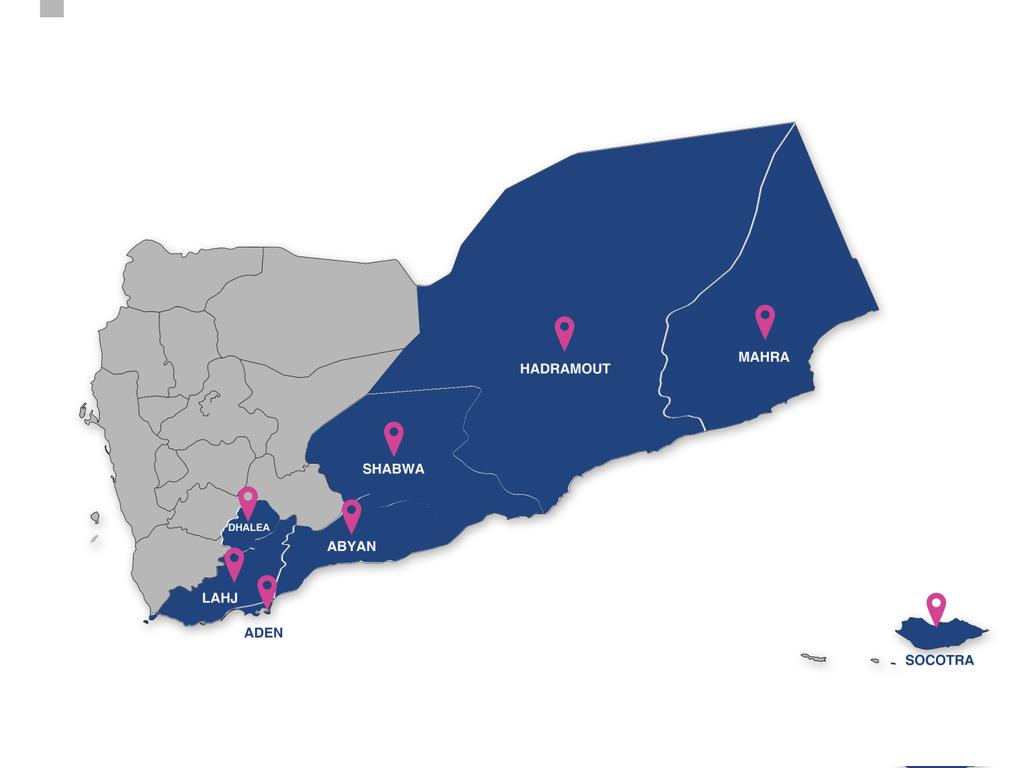 South24 | عربي tweet media