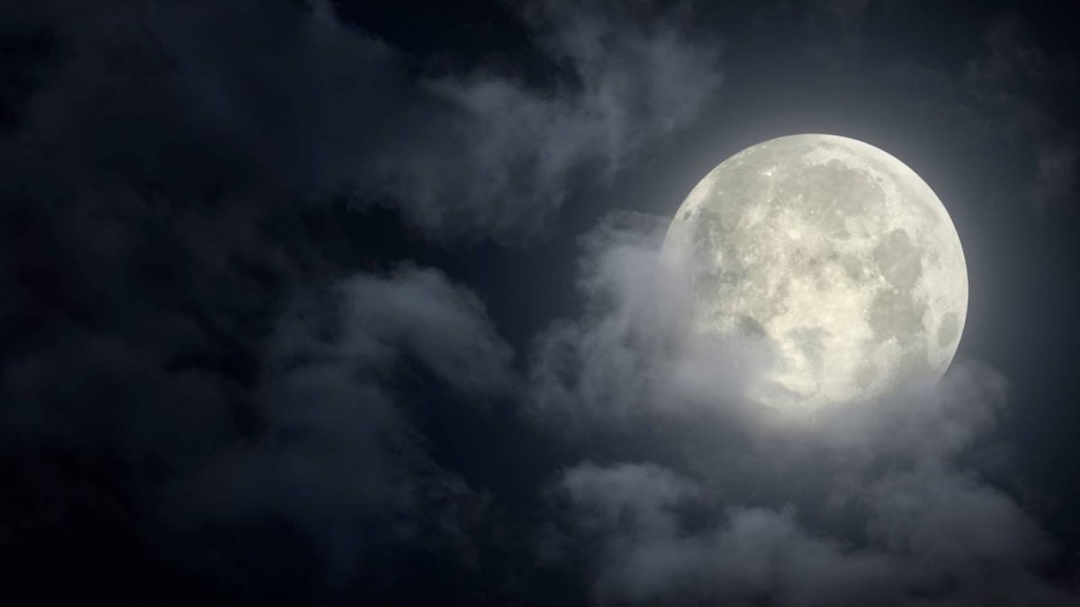 Werewolf Tale tweet media