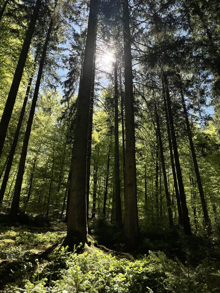 menitrustoomf's tweet image. went backpacking this week #yay