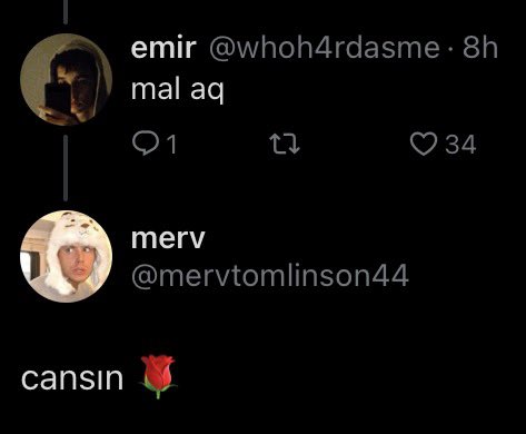 merv tweet media